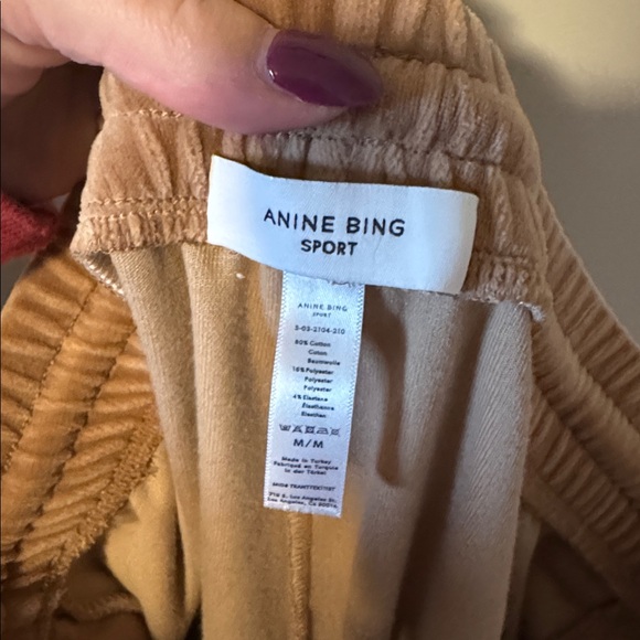 Anine Bing Sport Evan Velour Jogger - Picture 6 of 6